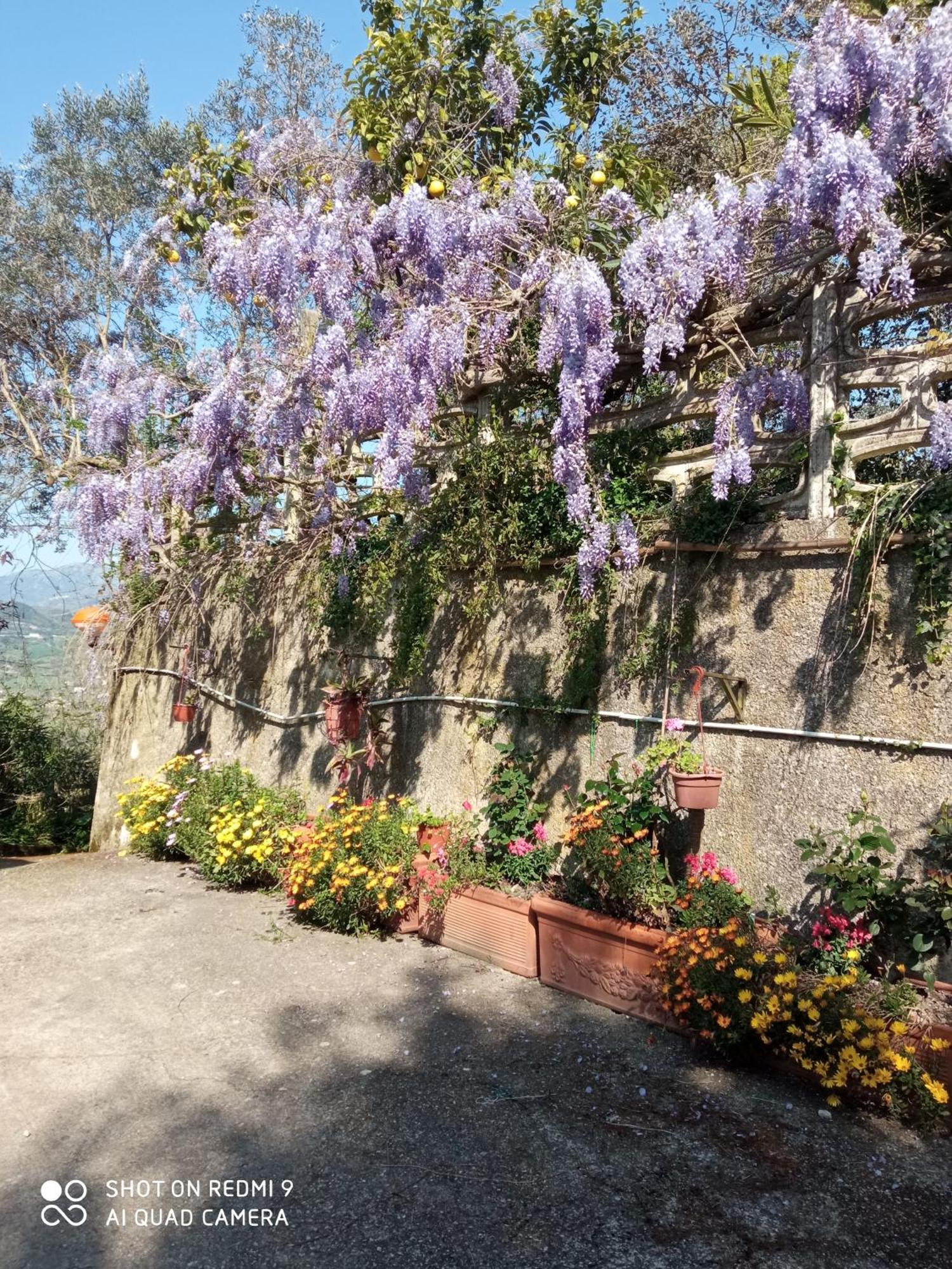 Belvedere Di Caiazzo Bagian luar foto
