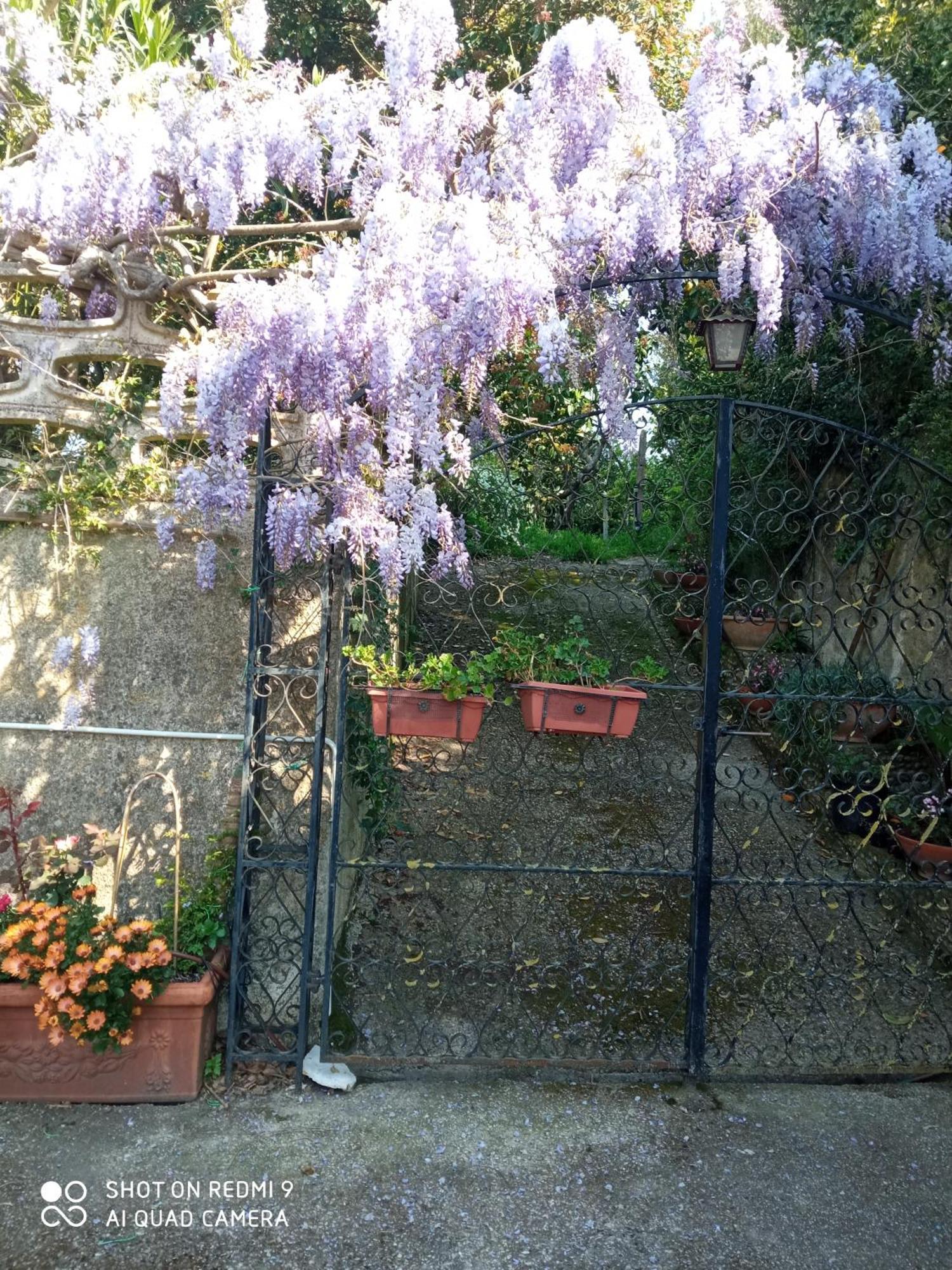 Belvedere Di Caiazzo Bagian luar foto