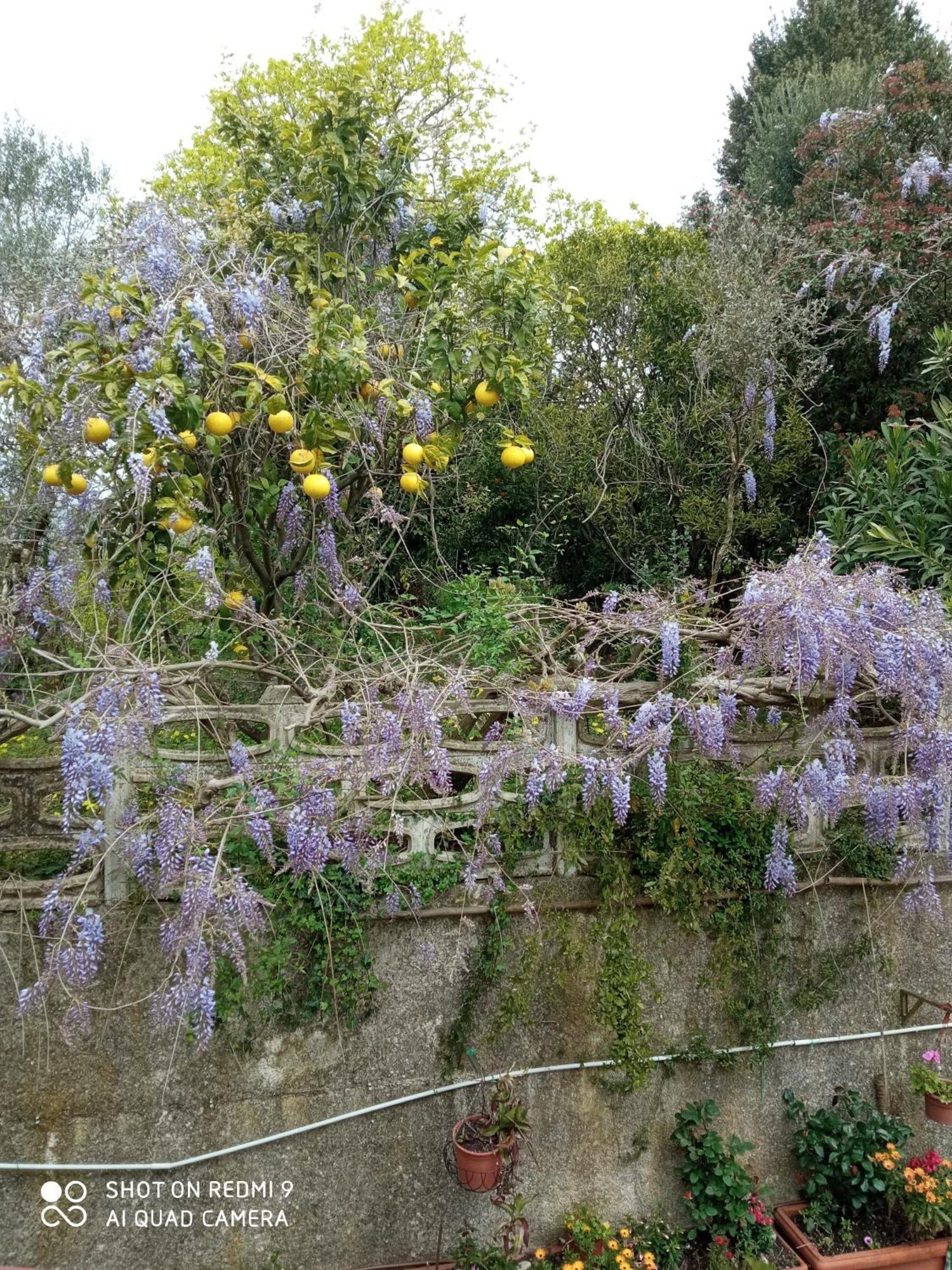 Belvedere Di Caiazzo Bagian luar foto